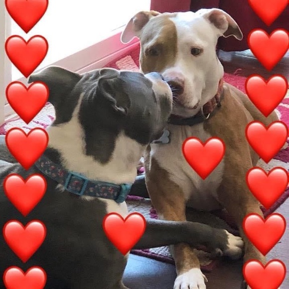 Meet your Posher, CathyBunny - Picture 3 of 16